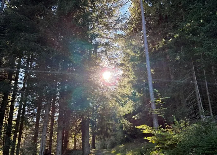 Alpenlodge Διαμέρισμα