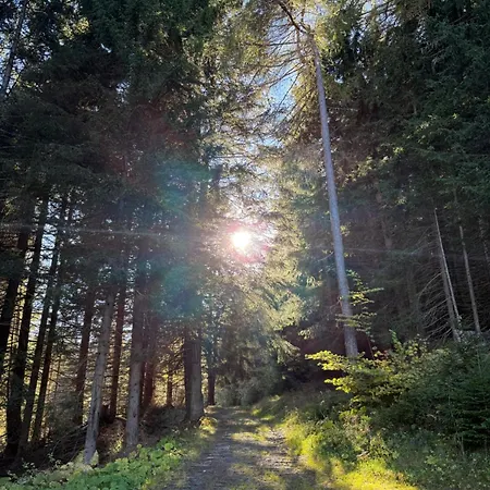 Alpenlodge Apartmán